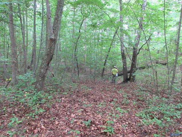 Farm for sale in Woodville, Alabama