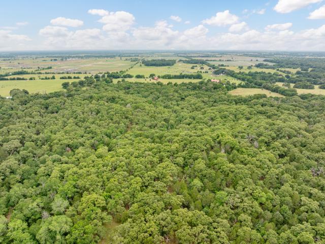 Property for sale in Navarro, Texas