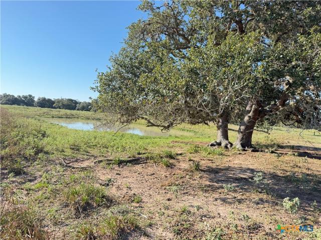 Farm for sale in Yoakum, DeWitt County