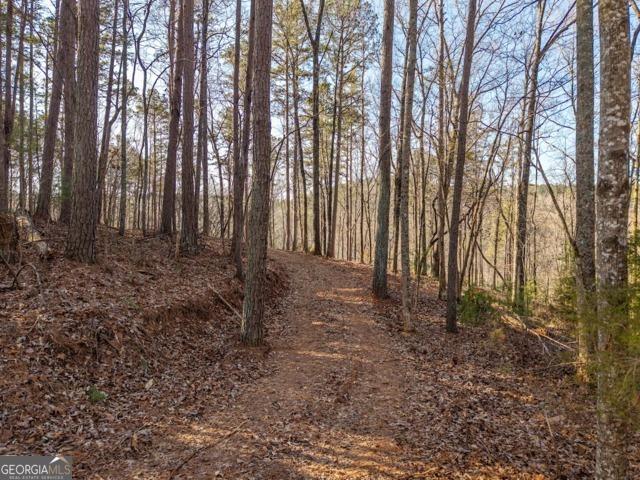 Land for sale in Pickens, Georgia