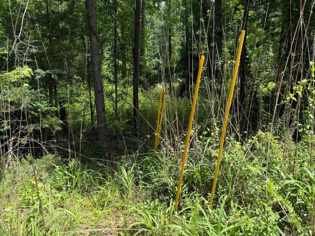 Land for sale in Griffin, Spalding County