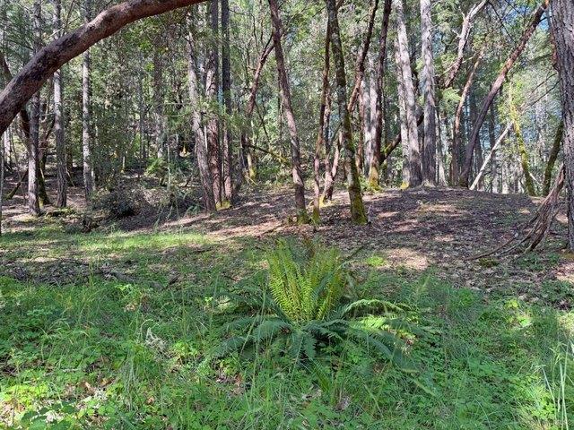 Land for sale in Willits, California