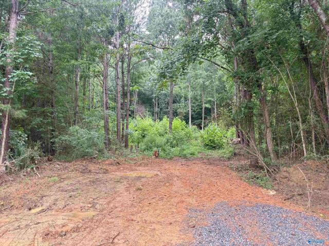 Land for sale in Scottsboro, Alabama