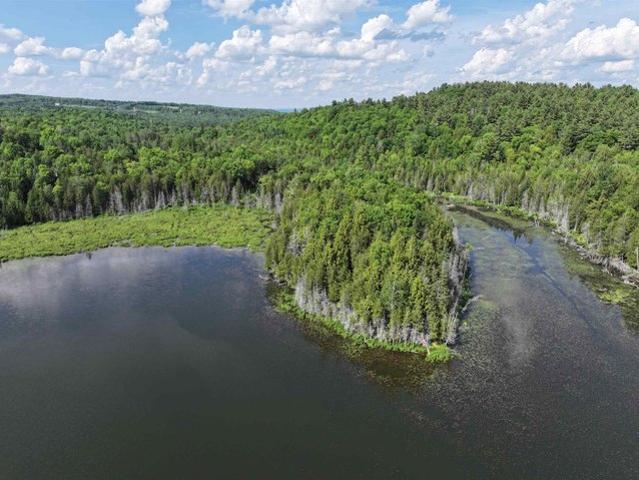Land for sale in Barton, Vermont