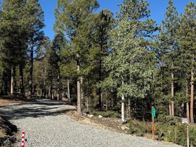 Land for sale in Hartsel, Colorado