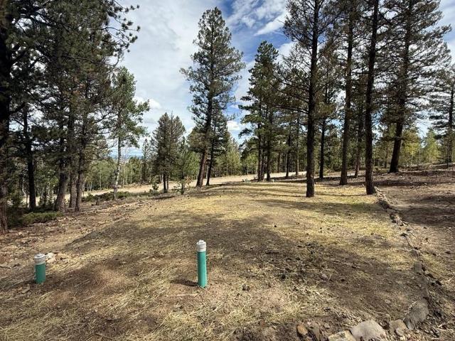 Land for sale in Hartsel, Colorado