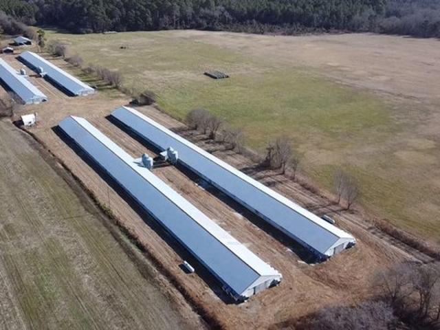 Land for sale in Scotland, North Carolina
