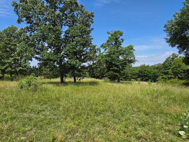 House for sale in Neosho, Missouri