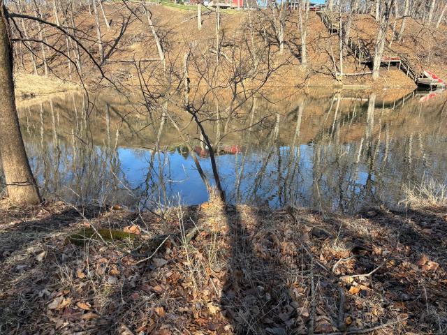 Land for sale in Marshall, Illinois