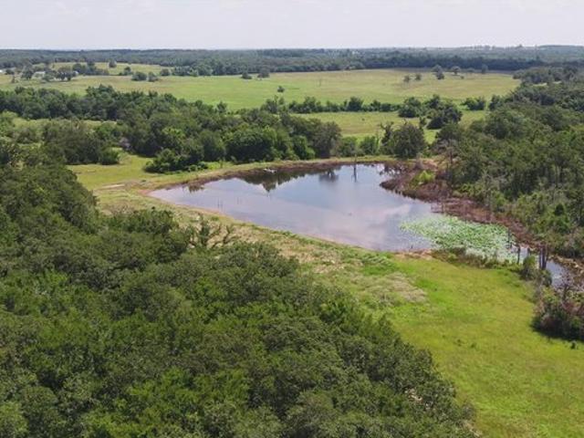 Farm for sale in Milam, Texas