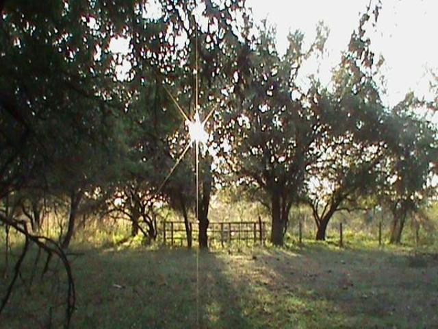 Farm for sale in Limpopo