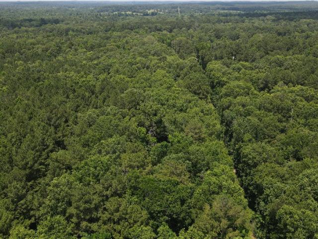 Land for sale in Livingston Land for sale in Livingston