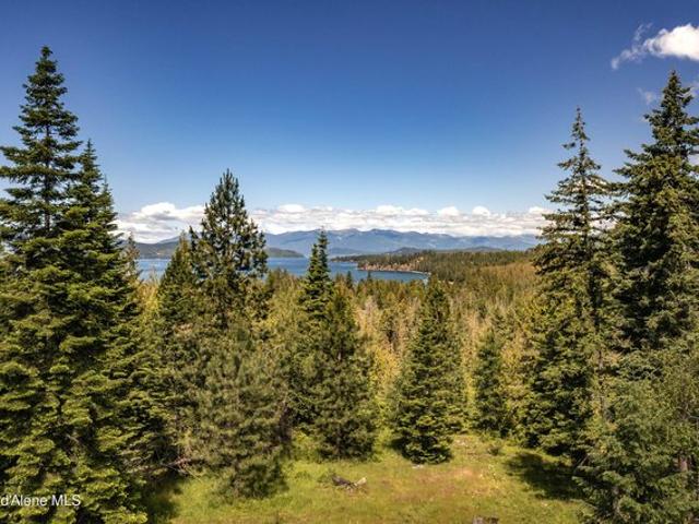 Land for sale in Hope, Idaho