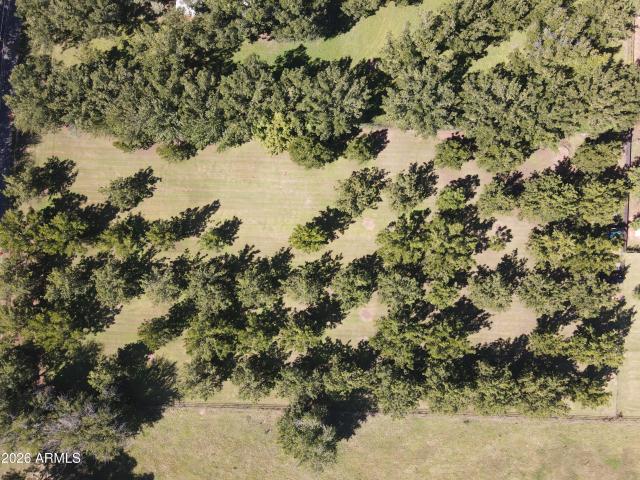 Land for sale in Paradise Acres, Camp Verde