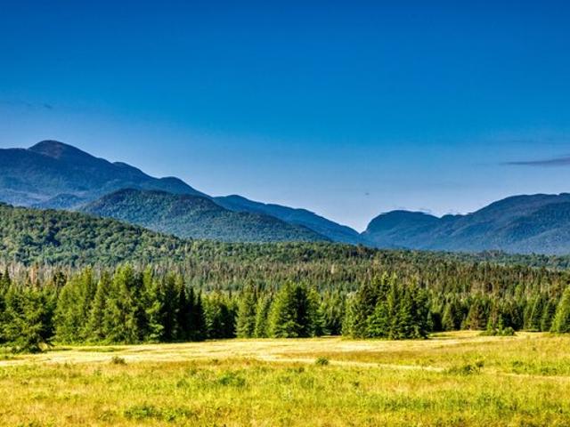 Land for sale in Essex, New York