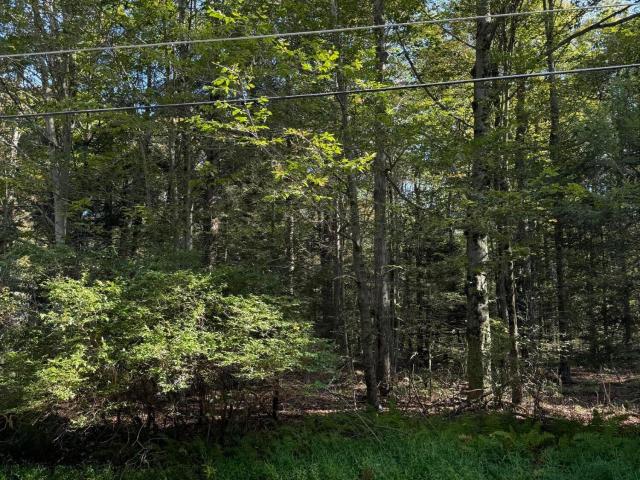 Land for sale in Blakeslee, Pennsylvania