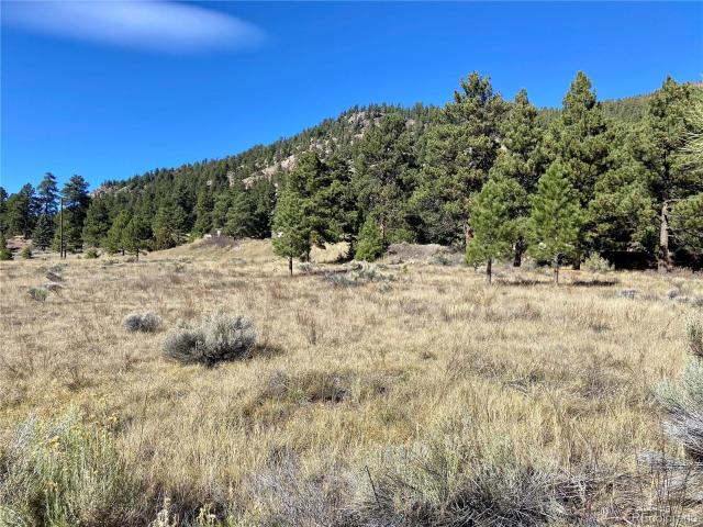 Land for sale in Conejos, Colorado