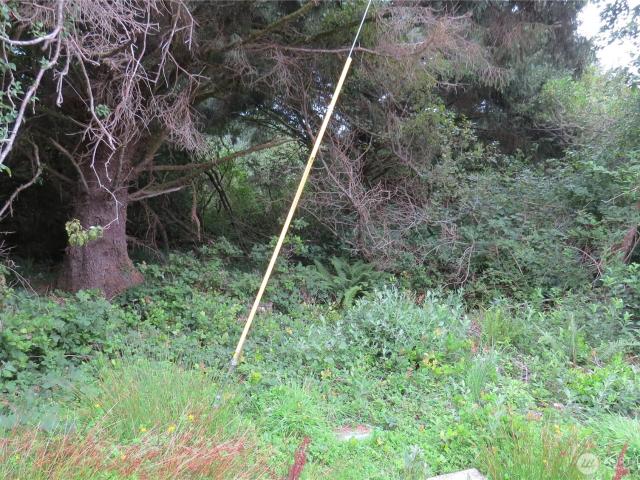 Land for sale in Ocean Shores, Washington