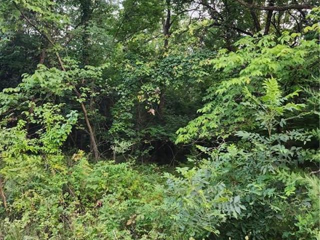 Land for sale in Kansas