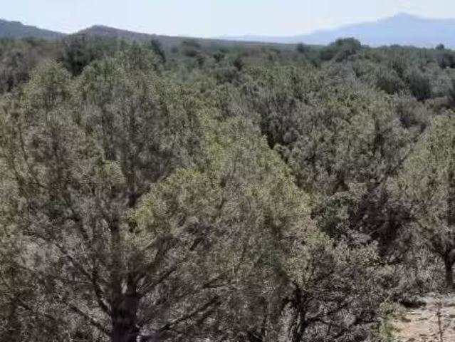 House for sale in Flagstaff