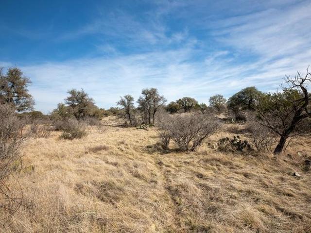 Farm for sale in Mason, Texas