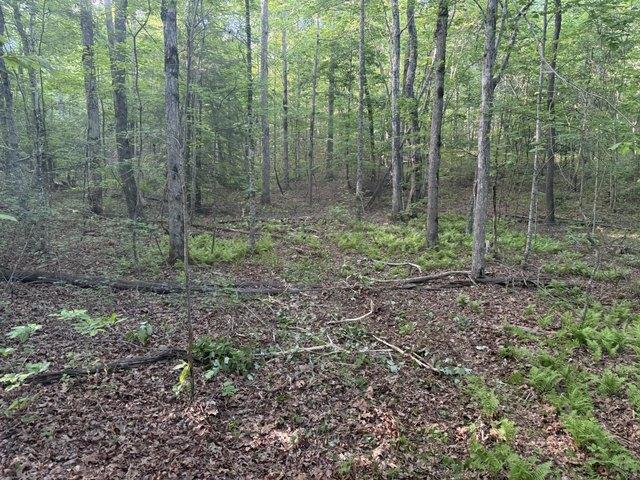 Land for sale in Tennessee