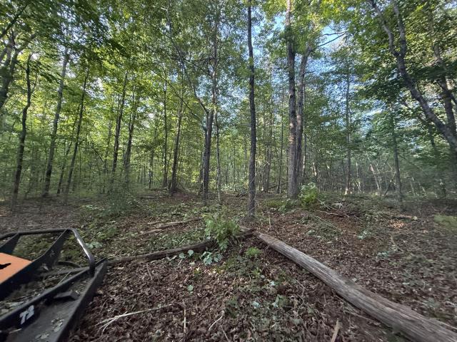 Land for sale in Altamont, Middle Tennessee