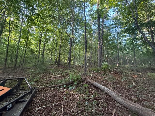 Land for sale in Tennessee
