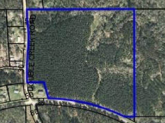 Land for sale in Coffee Springs, Geneva County