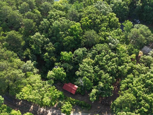 Land for sale in Ridgeway, South Carolina
