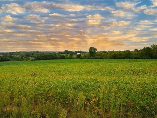 Farm for sale in Elsberry, Missouri