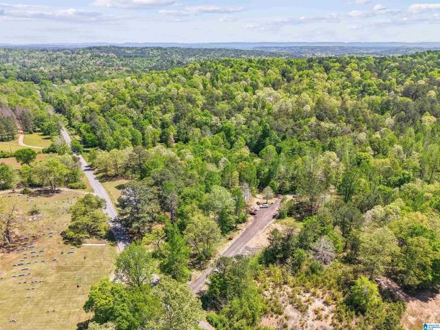 House for sale in Blount, Alabama