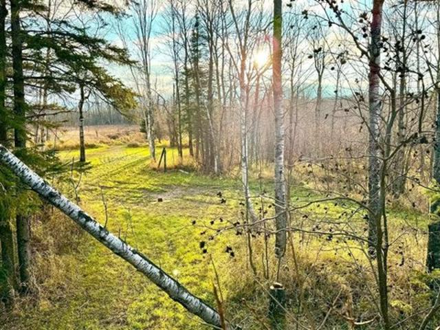 Land for sale in McGregor, Aitkin County