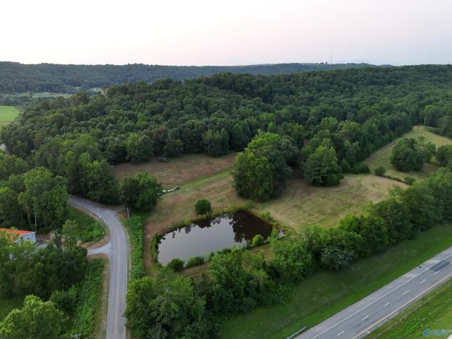 Land for sale in Flat Rock, Alabama