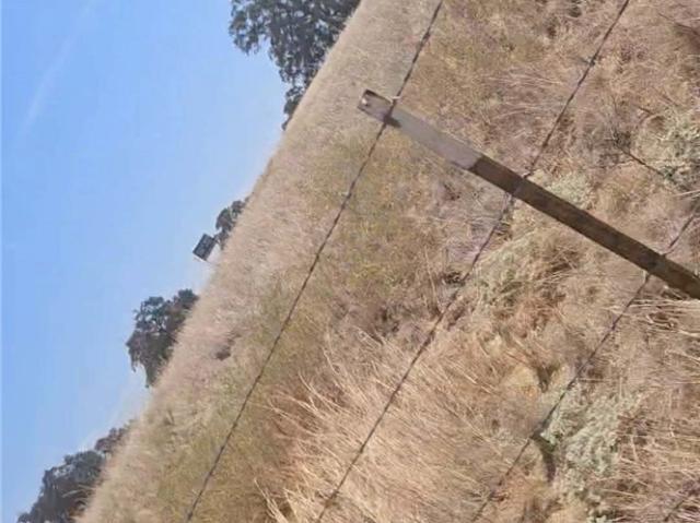 Land for sale in Madera, Madera County