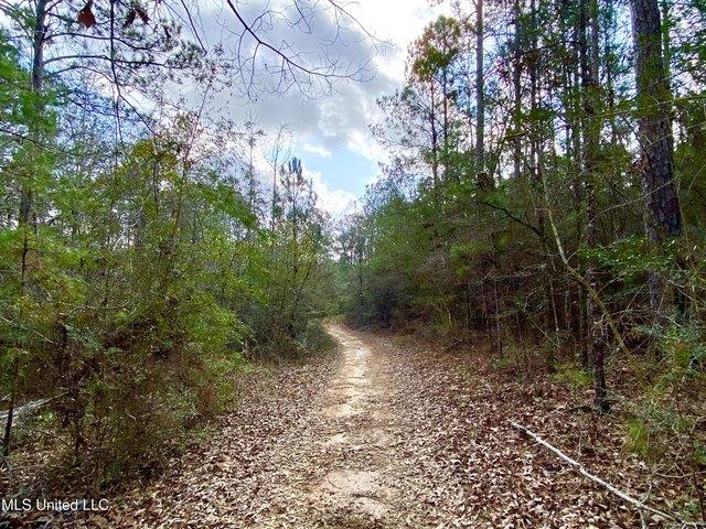 Land for sale in Carriere, Mississippi