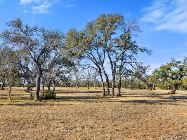 Land for sale in Blanco, Texas