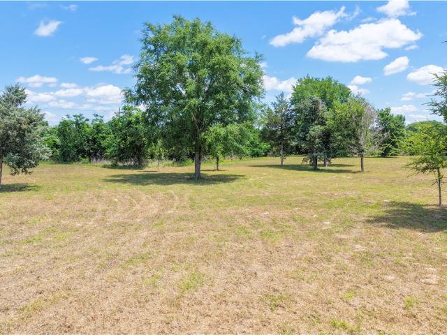 Land for sale in Somerville, Texas