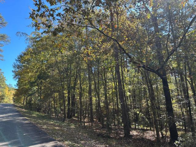 Land for sale in South Carolina