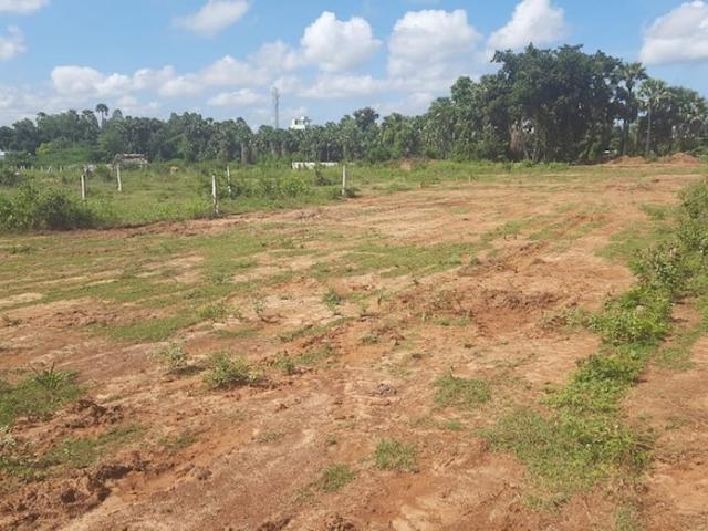 Land for sale in Vizianagaram, Andhra Pradesh