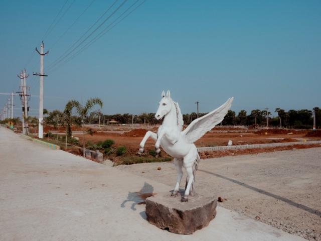Land for sale in Vizianagaram, Andhra Pradesh