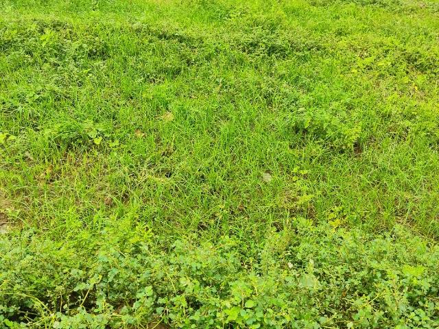 Land for sale in Haidarabad, Telangana
