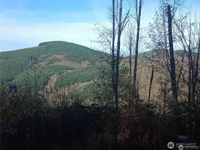 Land for sale in Kelso, Washington
