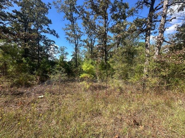 Land for sale in Noble, Sabine Parish