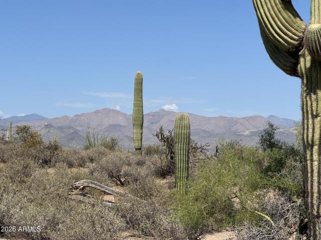 Land for sale in Rio Verde, Arizona