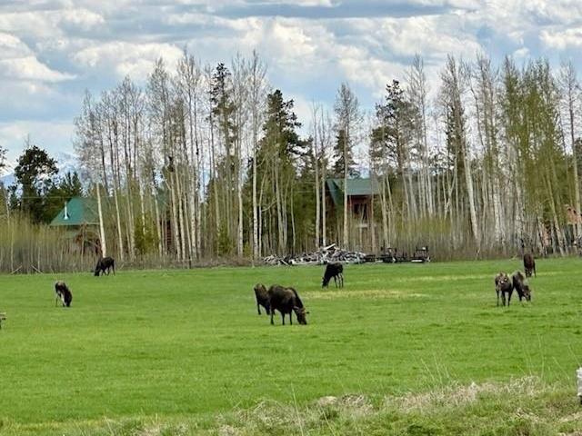 Land for sale in Grand Lake, Colorado