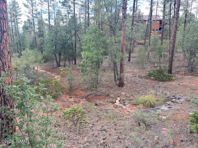Land for sale in Navajo, Arizona