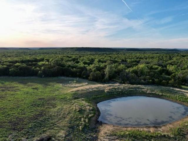 Land for sale in Mingus, Texas