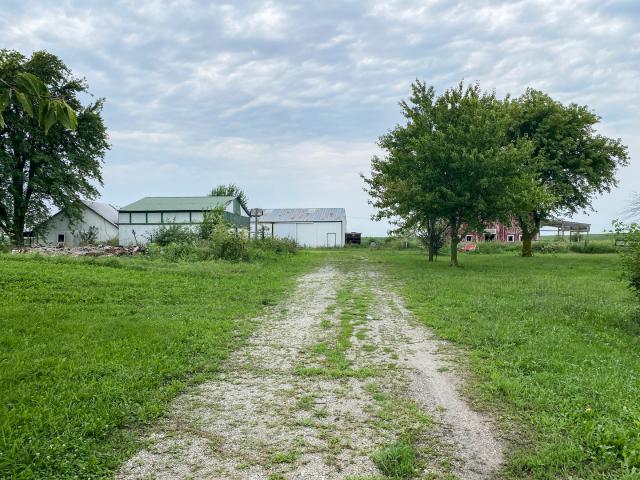 Land for sale in Odell, Illinois