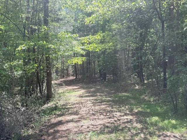 Land for sale in Chatham, North Carolina